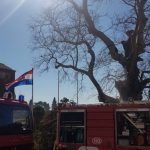 Platan sanacija Pozar 2