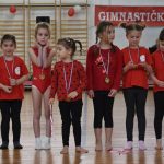 gimnasticki klub 15 godina 63