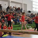 gimnasticki klub 15 godina 82