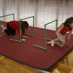 gimnasticki klub 15 godina 86