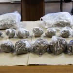 Tri mladića 'pala' s četiri kilograma marihuane, pola namjeravali preprodati 8 marihuana zapljena 28022020 13