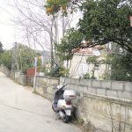 orsan reportaza 64