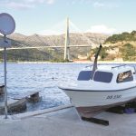orsan reportaza 75
