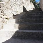 Lozica 8