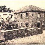 katica boskovic dijapozitivi 1