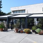 korona trijaza011