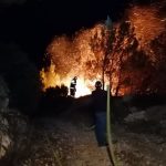 mljet pozar 1