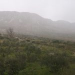 SAMO NAM JE TO JOŠ TREBALO U Dubrovniku počeo padati snijeg! 6 snijeg u proljece 3