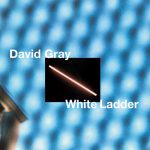 white ladder 3