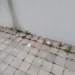 Rukavice ispred SUBa Konzum 1