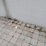 Rukavice ispred SUBa Konzum 3