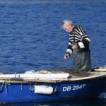 djir solitudo ribar