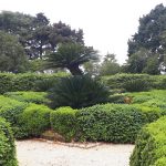 lokrum dn planeta zemlje 11