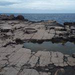 lokrum dn planeta zemlje 12