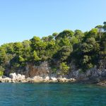 lokrum dn planeta zemlje 23