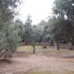 lokrum dn planeta zemlje 7