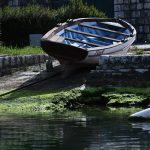 ombla rijeka dubrovacka17