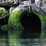 ombla rijeka dubrovacka30