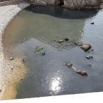 'OPET SMRDI U PILAMA' Matušić: Najavili smo izljeve zbog radova na Vojnoviću 2 pile kanalizacija 1