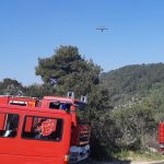 pozar smokvica 2