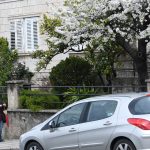 proljece cvijece tresnja04