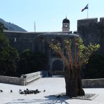 Grad je pun cvijeća, šaren i lijep. Donosimo vam fotogaleriju 4 proljece cvijece023