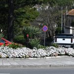 Grad je pun cvijeća, šaren i lijep. Donosimo vam fotogaleriju 6 proljece cvijece027