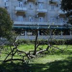 Grad je pun cvijeća, šaren i lijep. Donosimo vam fotogaleriju 10 proljece cvijece037