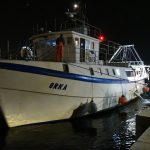 riba ribari koca14