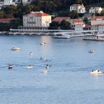 ribanje04
