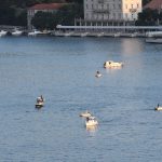 ribanje07