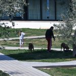 uvala djir053