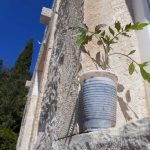 002vendor konavle 800x1200 1