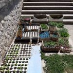 003vendor konavle 800x1200 1