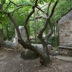 Lokrum prvi brod 10