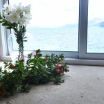 kalamota villa rose043