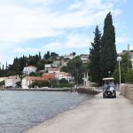 kalamota villa rose228