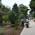 lokrum prvi brod korona 2