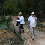 lokrum prvi brod korona 20