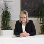 005os ivana gundulica energetska