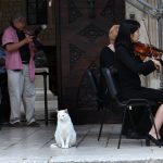 KONCERT DSO21