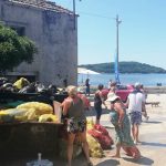 akcija ciscenja molunat 2