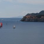 regata jedrenje orsan20