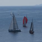 regata jedrenje orsan29