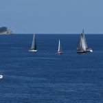 regata jedrenje orsan38