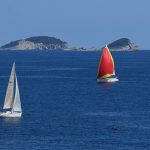 regata jedrenje orsan39