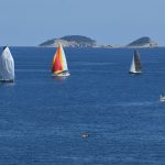 regata jedrenje orsan40