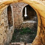 zidine djir 139