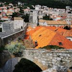 zidine djir 14