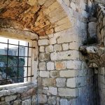 zidine djir 146